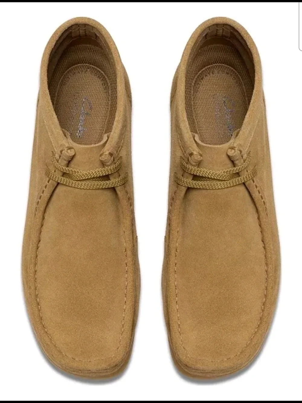 Clarks classic men